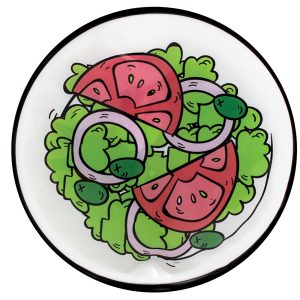 Blocs réfrigérants - Salade