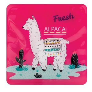 Blocs réfrigérants carrés - Alpaga