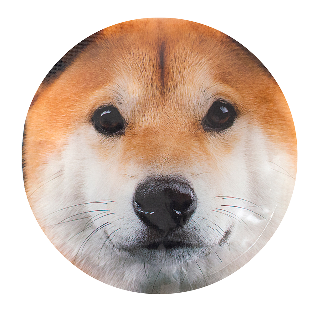 Blocs réfrigérants – Chien